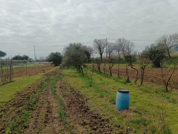terreno agricolo in vendita a Calenzano in zona Travalle