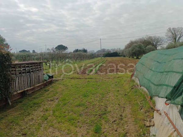 terreno agricolo in vendita a Calenzano in zona Travalle