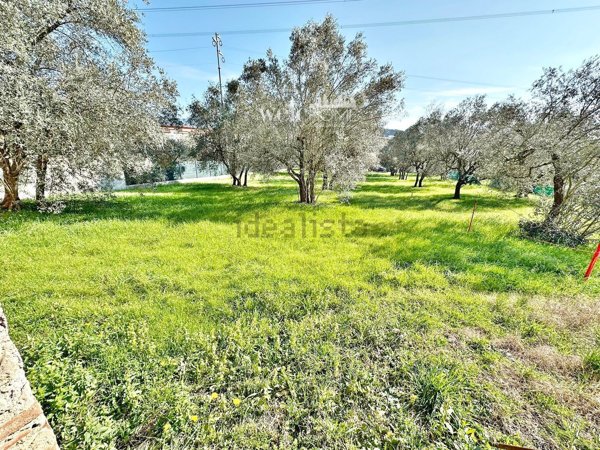 casa indipendente in vendita a Calenzano