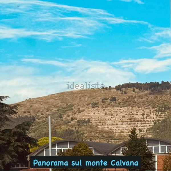 appartamento in vendita a Calenzano