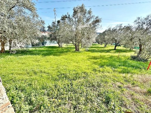 casa indipendente in vendita a Calenzano