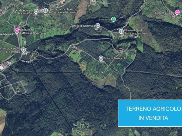 terreno agricolo in vendita a Calenzano