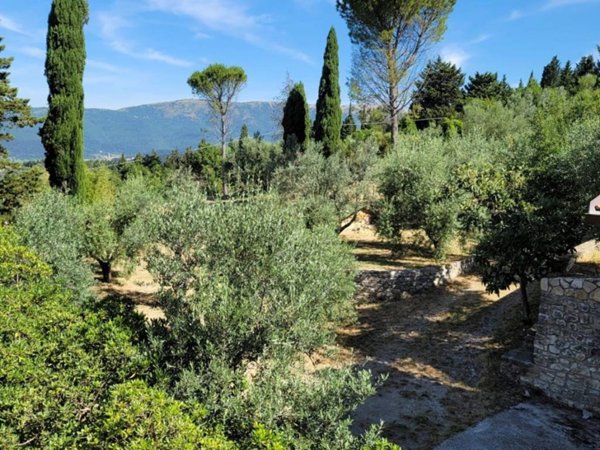 appartamento in vendita a Calenzano