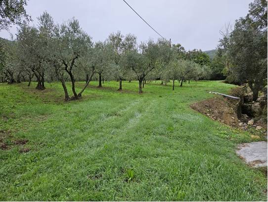 terreno agricolo in vendita a Calenzano in zona Secciano