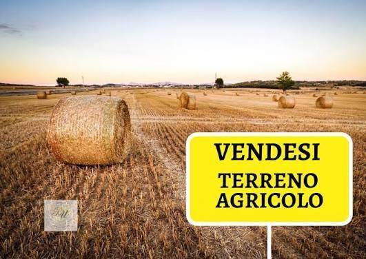 terreno agricolo in vendita a Calenzano