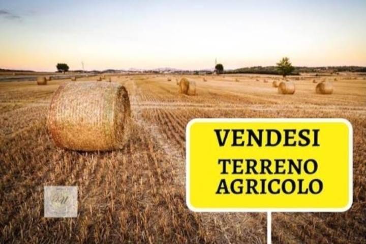 terreno agricolo in vendita a Calenzano in zona Baroncoli