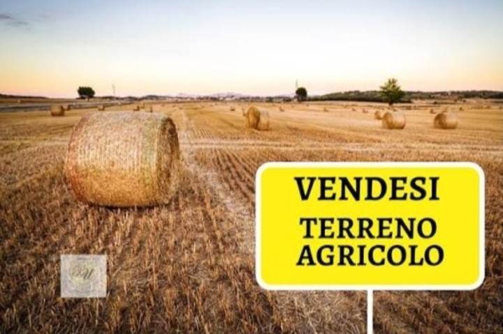 terreno agricolo in vendita a Calenzano in zona Baroncoli