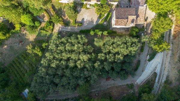 casa indipendente in vendita a Calenzano in zona Leccio