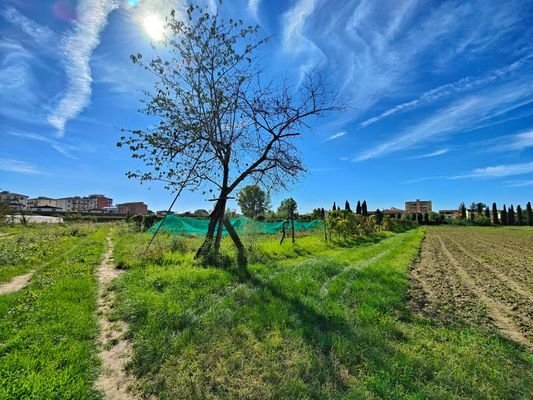terreno edificabile in vendita a Campi Bisenzio in zona San Piero a Ponti