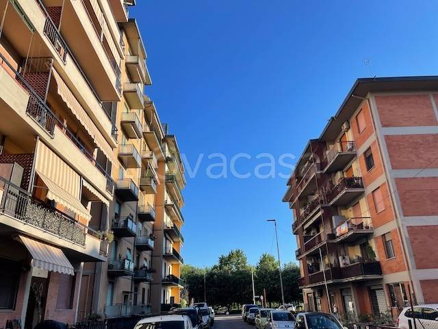 appartamento in vendita a Campi Bisenzio