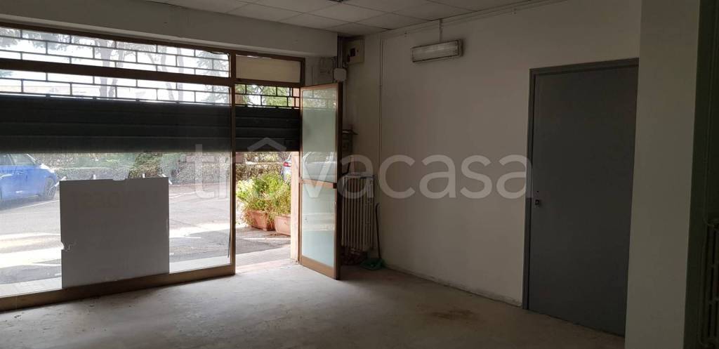 appartamento in vendita a Campi Bisenzio