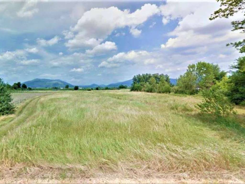 terreno agricolo in vendita a Campi Bisenzio in zona Capalle