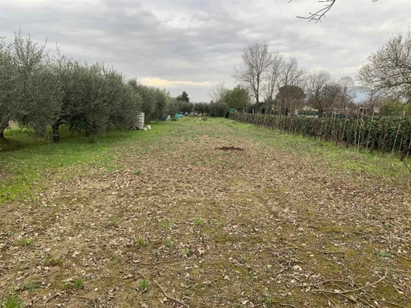 terreno agricolo in vendita a Campi Bisenzio in zona Le Miccine