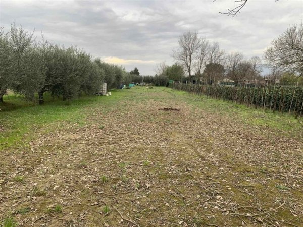 terreno agricolo in vendita a Campi Bisenzio in zona Le Miccine