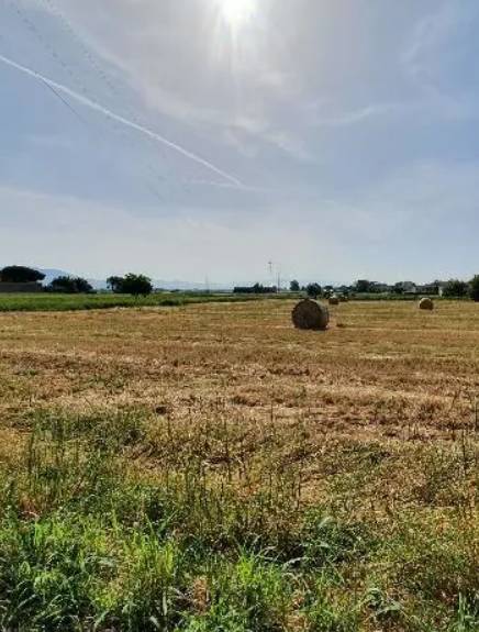 terreno agricolo in vendita a Campi Bisenzio in zona Sant'Angelo a Lecore