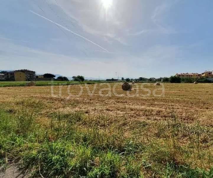 appartamento in vendita a Campi Bisenzio in zona Sant'Angelo a Lecore