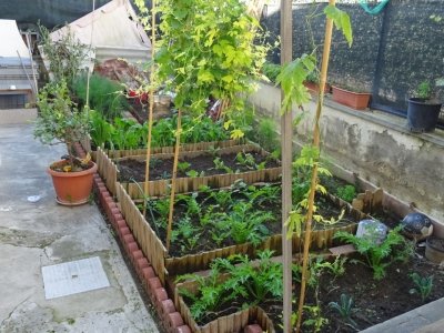 appartamento in vendita a Campi Bisenzio in zona Sant'Angelo a Lecore