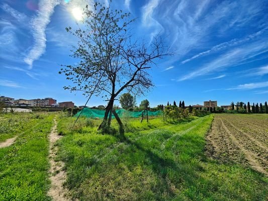 terreno agricolo in vendita a Campi Bisenzio in zona San Piero a Ponti