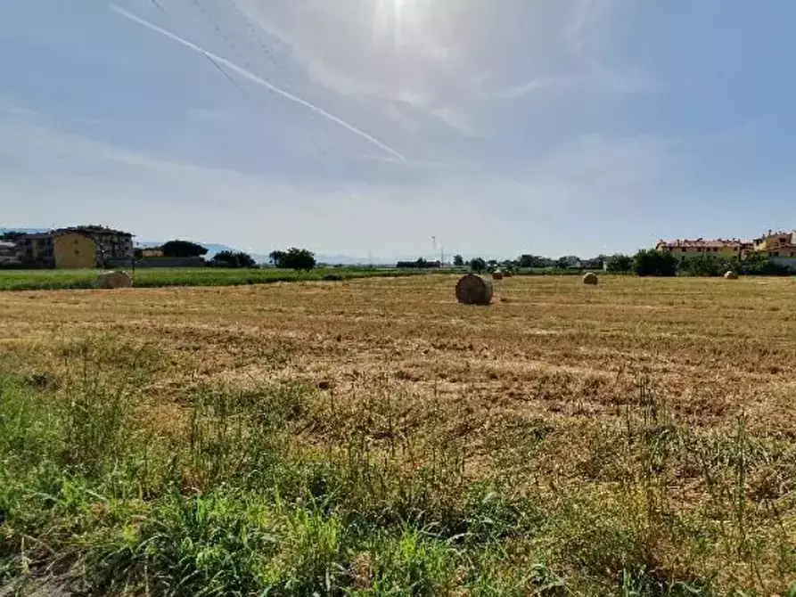 terreno agricolo in vendita a Campi Bisenzio in zona Sant'Angelo a Lecore