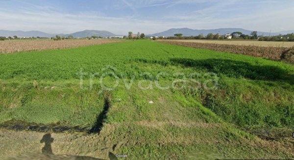 terreno agricolo in vendita a Campi Bisenzio