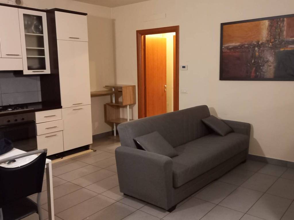 appartamento in vendita a Campi Bisenzio in zona San Cresci