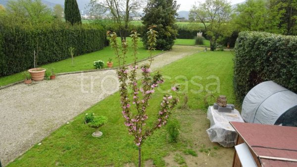 casa indipendente in vendita a Campi Bisenzio in zona Limite