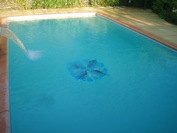 esavano in vendita a Campi Bisenzio in zona San Piero a Ponti