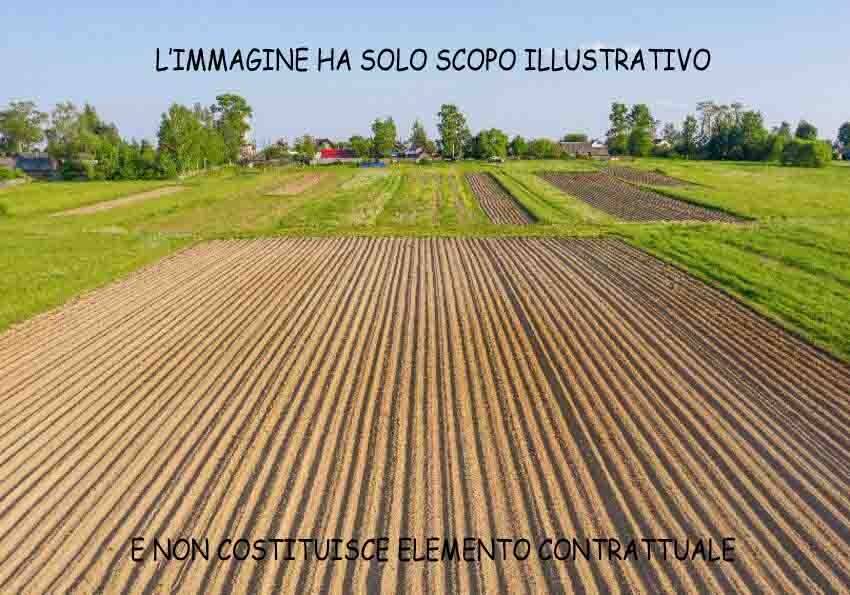 terreno agricolo in vendita a Campi Bisenzio in zona Capalle