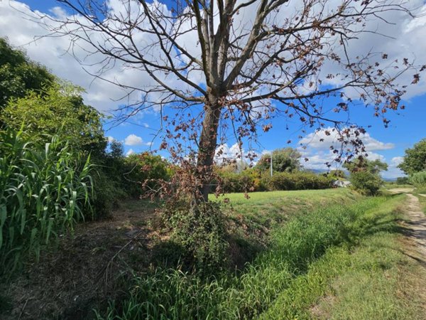 terreno agricolo in vendita a Campi Bisenzio in zona Capalle