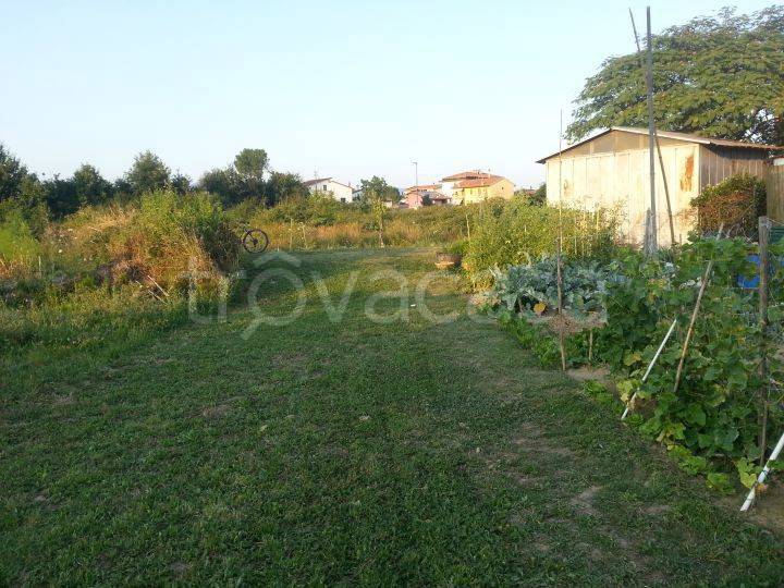 terreno agricolo in vendita a Campi Bisenzio