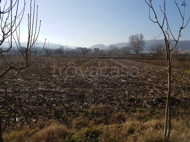 terreno agricolo in vendita a Campi Bisenzio