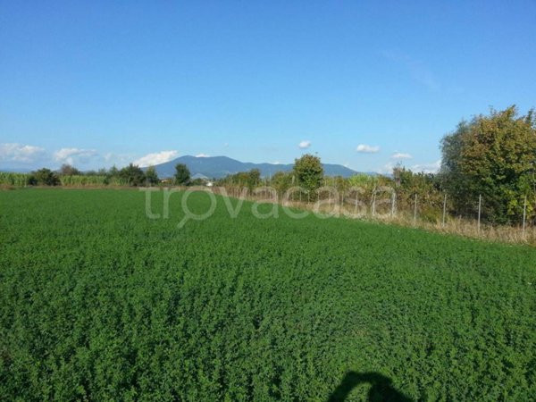terreno agricolo in vendita a Campi Bisenzio