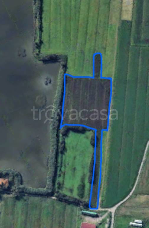 terreno agricolo in vendita a Campi Bisenzio in zona Le Miccine