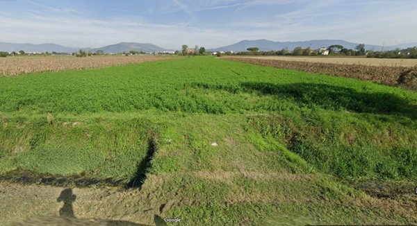terreno agricolo in vendita a Campi Bisenzio