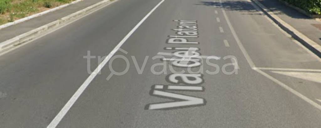 terreno agricolo in vendita a Campi Bisenzio in zona San Donnino