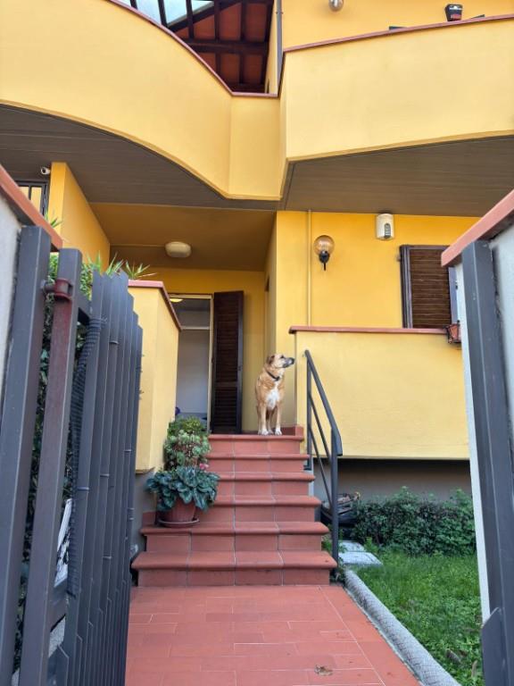 casa indipendente in vendita a Campi Bisenzio in zona San Piero a Ponti