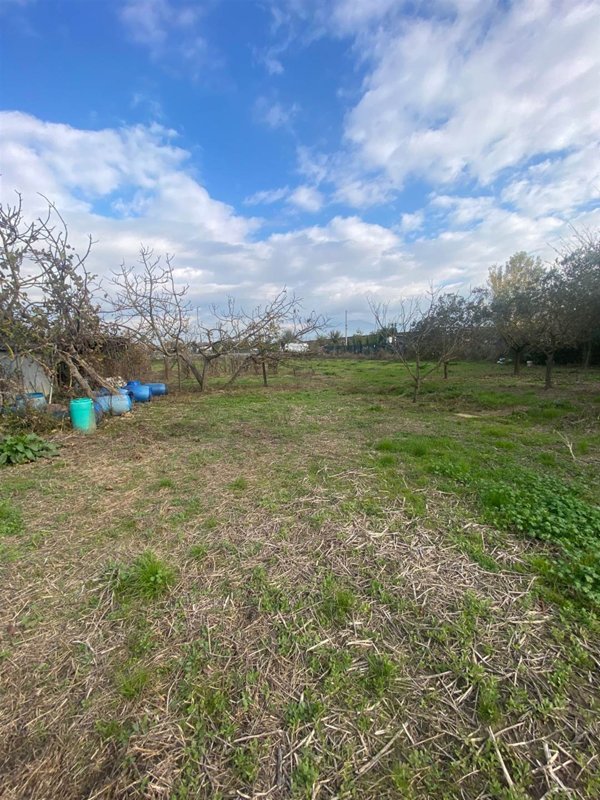 terreno agricolo in vendita a Campi Bisenzio
