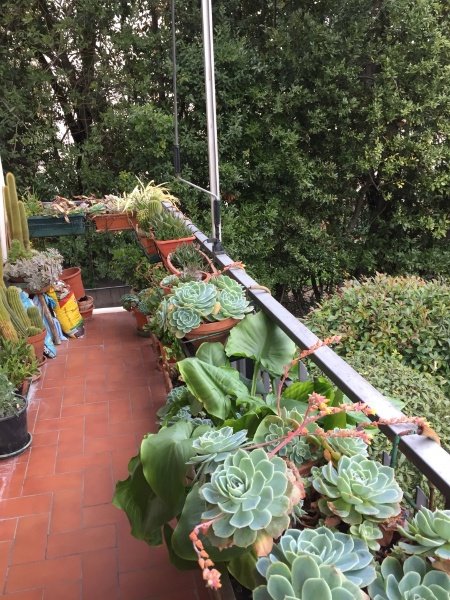 appartamento in vendita a Campi Bisenzio