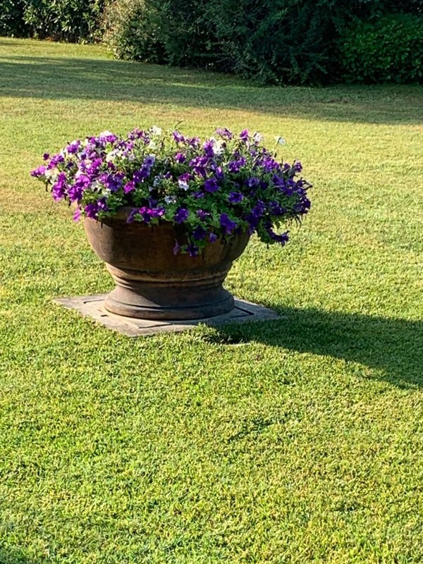 esavano in vendita a Campi Bisenzio