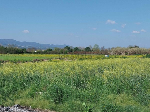 terreno agricolo in vendita a Campi Bisenzio