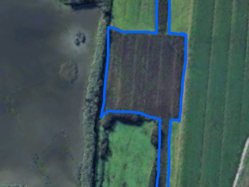 terreno agricolo in vendita a Campi Bisenzio in zona Limite