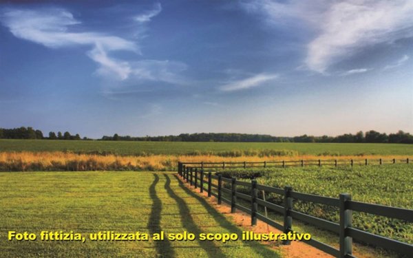 terreno agricolo in vendita a Campi Bisenzio in zona San Piero a Ponti