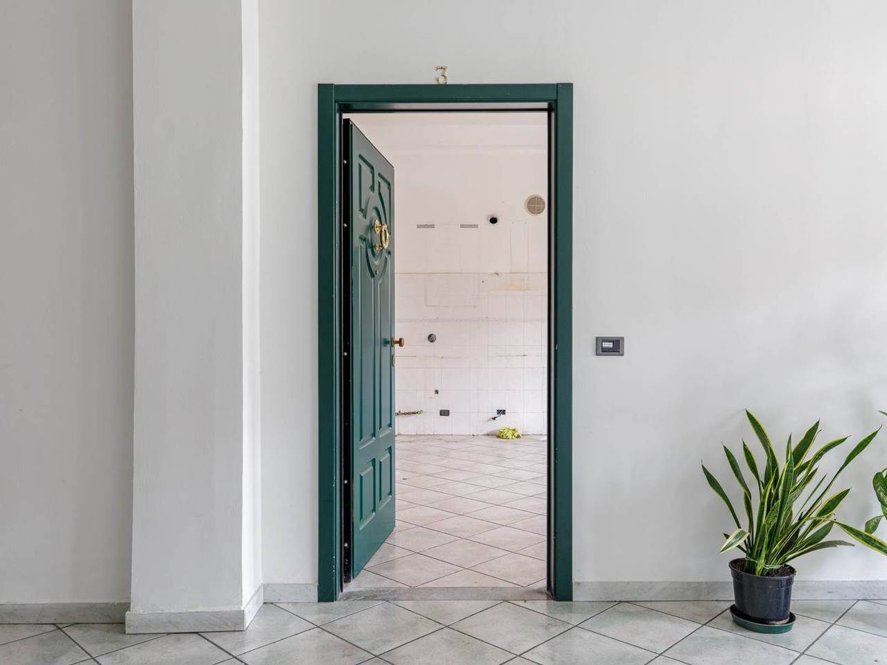 immagine annuncio 0 di 15