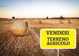 terreno agricolo in vendita a Campi Bisenzio