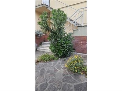 casa indipendente in vendita a Campi Bisenzio in zona Limite