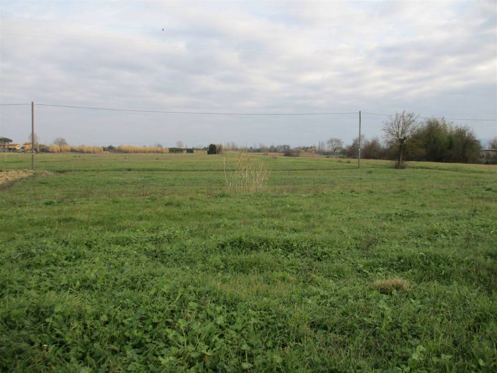 terreno agricolo in vendita a Campi Bisenzio in zona San Donnino