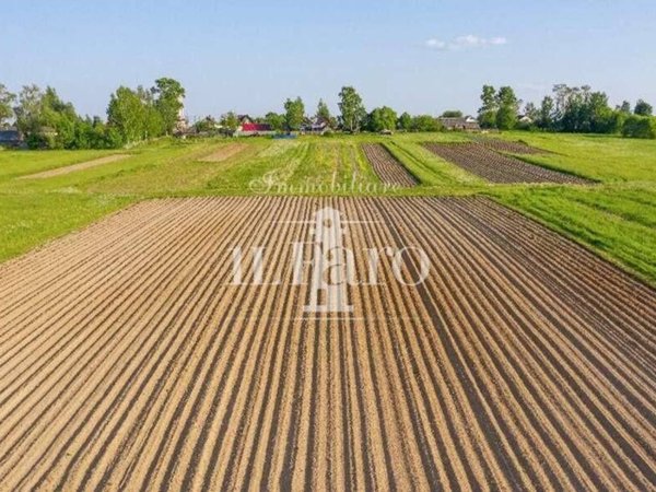 terreno agricolo in vendita a Campi Bisenzio