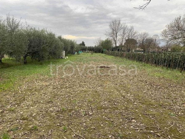 terreno agricolo in vendita a Campi Bisenzio in zona Capalle
