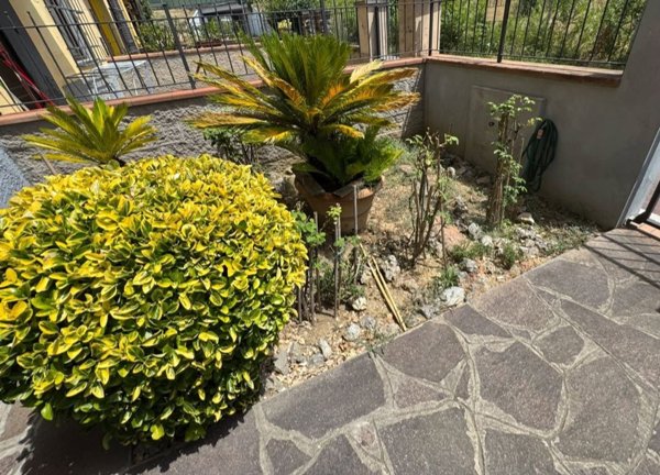 casa indipendente in vendita a Campi Bisenzio in zona Limite