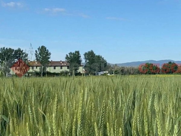 appartamento in vendita a Campi Bisenzio in zona Le Miccine